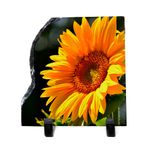 PortaRetratodePedraparaSublimacao15x15cmC023