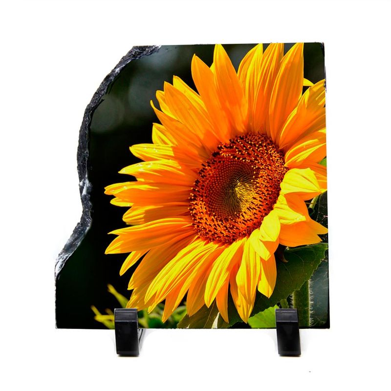 PortaRetratodePedraparaSublimacao15x15cmC023