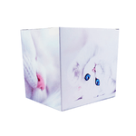 Caixinha-de-Papelao-decorada-Gatinho-2