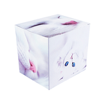 Caixinha-de-Papelao-decorada-Gatinho-1