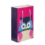 Sacolinha-de-Papelao-Decorada-Tipo-Presente-Corujinha-18x28x75cm