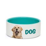 Tigela-Dog-3