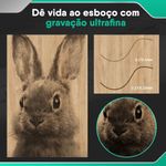 Maquina-de-corte-a-laser-m10-3